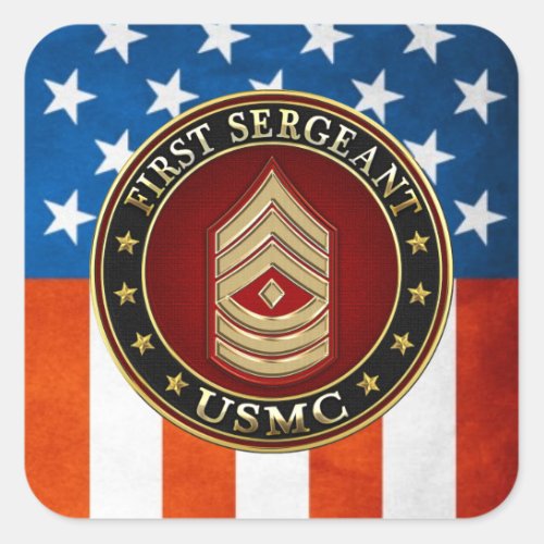 US Marines First Sergeant USMC 1stSgt 3D Square Sticker