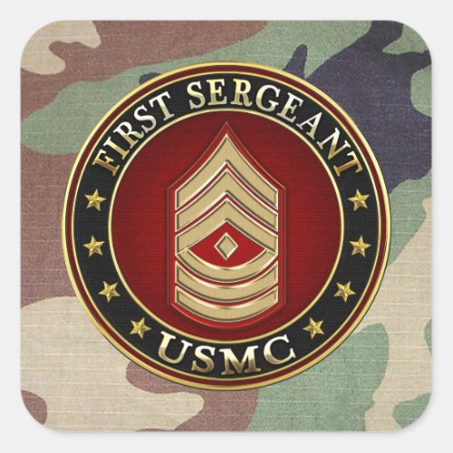 US Marines First Sergeant USMC 1stSgt 3D Square Sticker