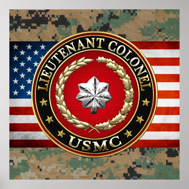 U.S. Marines: Lieutenant Colonel (USMC LtCol) [3D] Poster (Front)