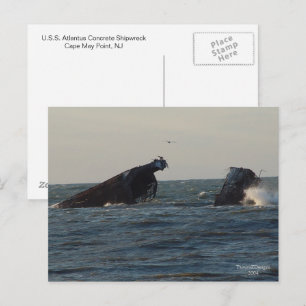 U.S.S. Atlantus Concrete Shipwreck, NJ Postcard