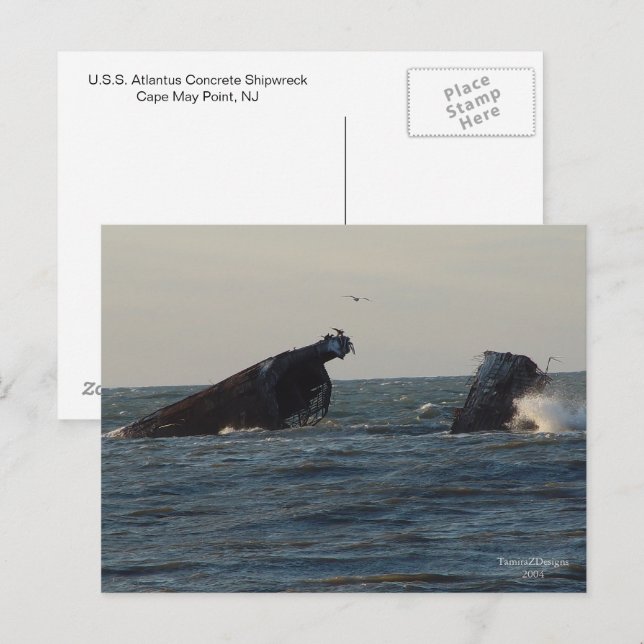 U.S.S. Atlantus Concrete Shipwreck, NJ Postcard (Front/Back)