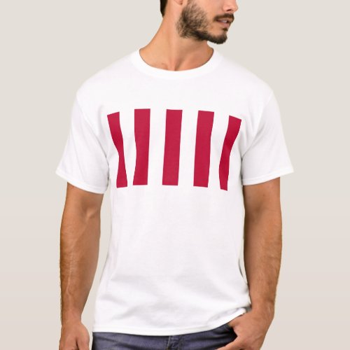 US Sons of Liberty 9 Vertical Strip Flag T_Shirt