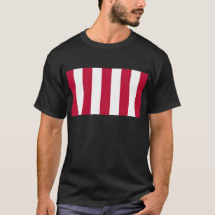 U.S. Sons of Liberty 9 Vertical Strip Flag T-Shirt