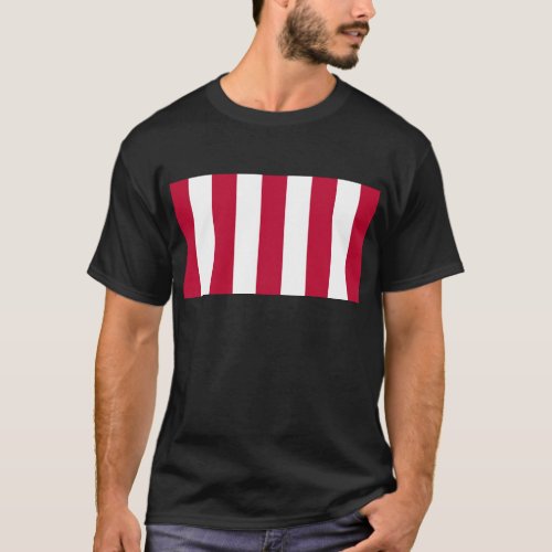 US Sons of Liberty 9 Vertical Strip Flag T_Shirt