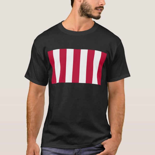 U.S. Sons of Liberty 9 Vertical Strip Flag T-Shirt (Front)
