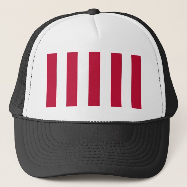 U.S. Sons of Liberty 9 Vertical Strip Flag Trucker Hat (Front)