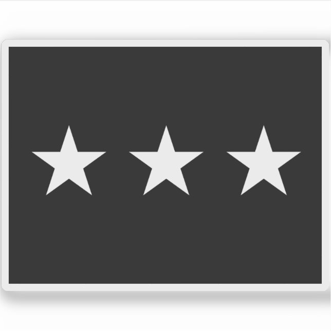 U.S. Space Force brigadier lieutenant general flag Sticker (Front)