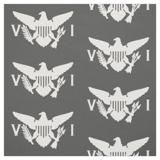 U.S. Virgin Islands Flag (Large) Gray & White Fabric