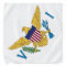 U.S. Virgin Islands Flag White