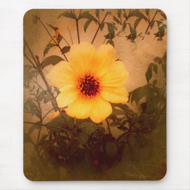 U Shine_ Mouse Pad (Front)