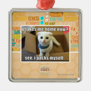 U take me home now? metal ornament