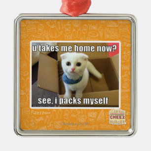 U take me home now? metal ornament