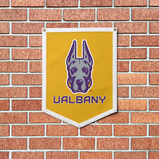 UA Great Danes Pennant (Insitu 1)