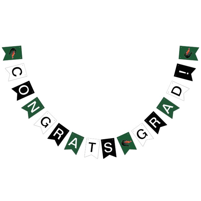 UAB Blazers Fire-Breathing Dragon Mascot Logo Bunting Flags (All)