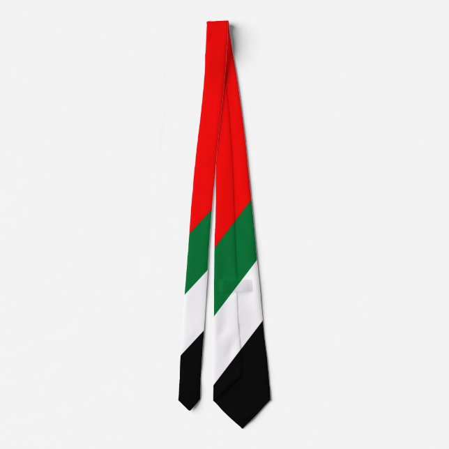UAE Flag Men's Necktie (Back)