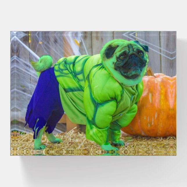 UBE SMASH! PAPERWEIGHT (Front)