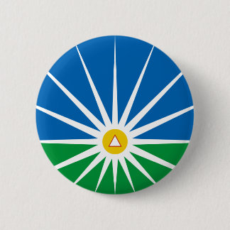 Uberlandia Minasgerais Brasil, Brazil flag Pinback Button