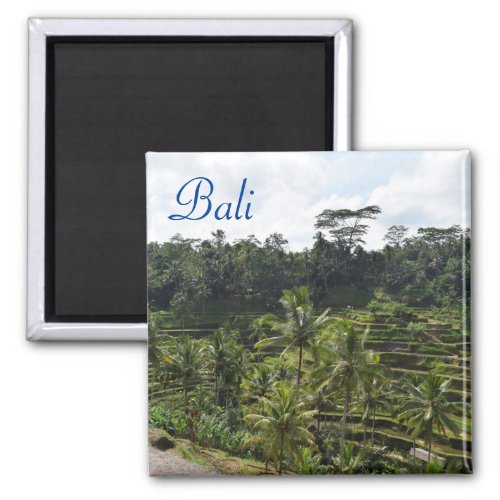 Ubud Bali Magnet