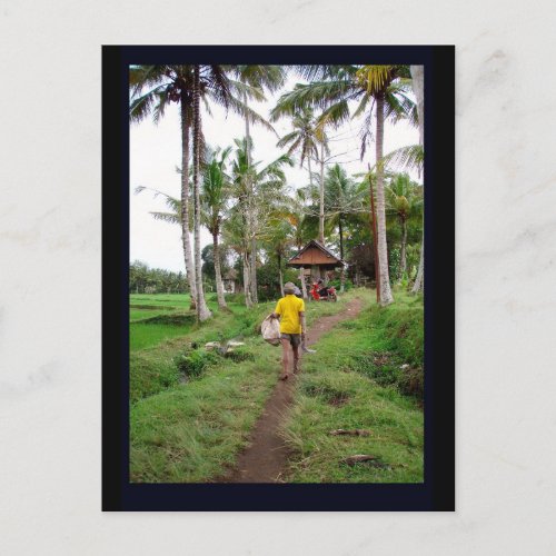 Ubud Bali Postcard