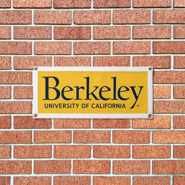UC Berkeley Logo Pennant (Insitu 1)