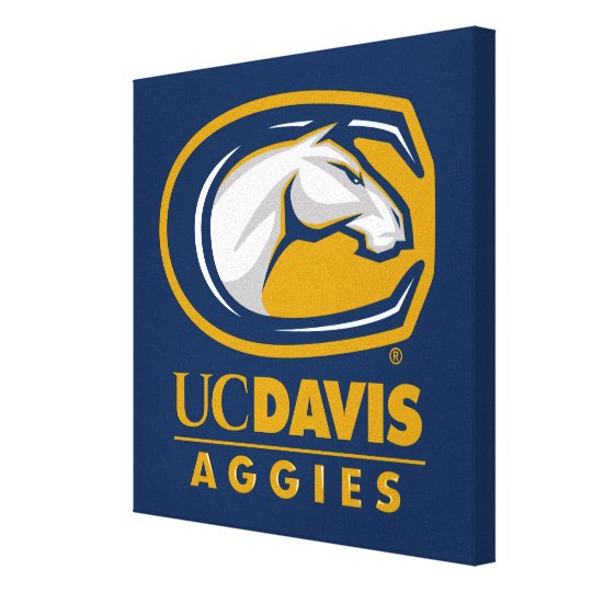 UC Davis Aggies Canvas Print