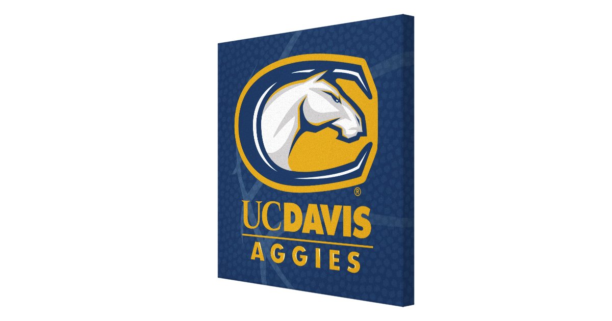 UC Davis Basketball Canvas Print Zazzle