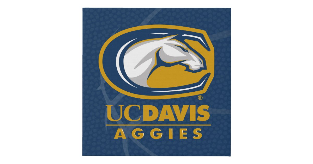 Uc davis basketball faux canvas print zazzle