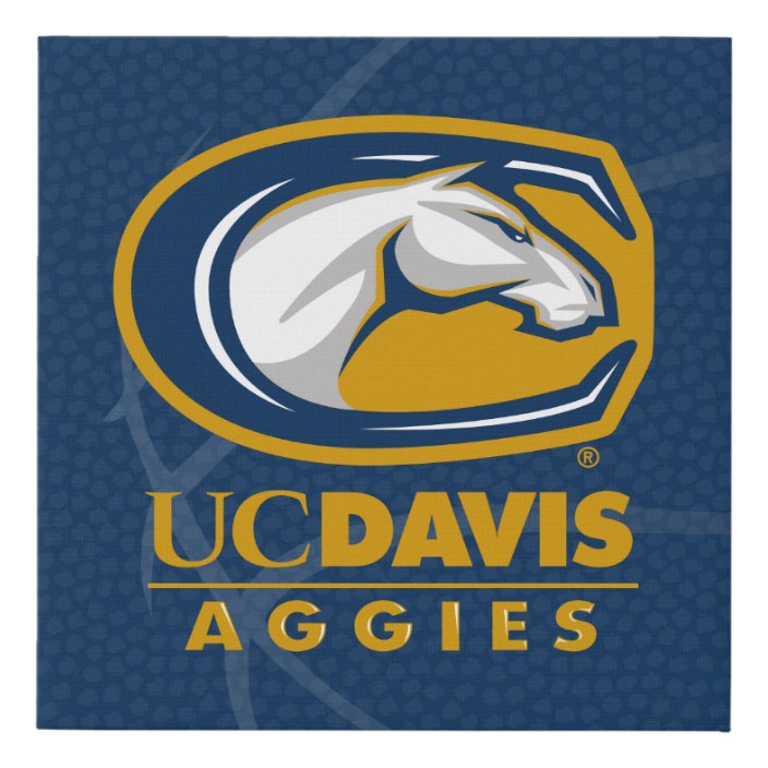 UC Davis Basketball Faux Canvas Print