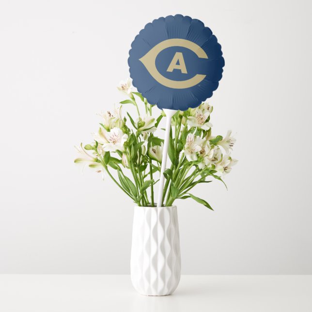 UC Davis C Balloon (Vase)