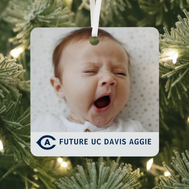 UC Davis C | Future Aggie Metal Ornament (Insitu)