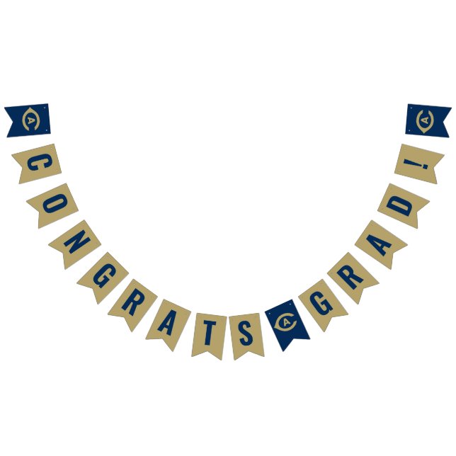 UC Davis C | Graduation Bunting Flags (All)