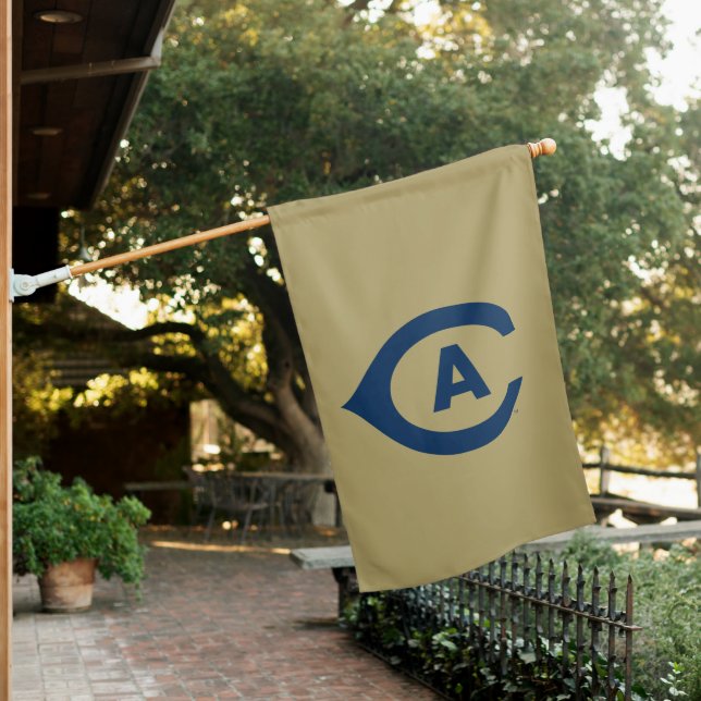 UC Davis C House Flag (In SItu)