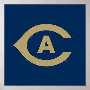 UC Davis C Poster