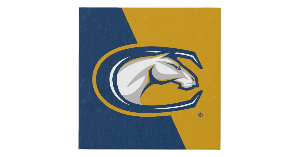 Uc davis color block faux canvas print zazzle