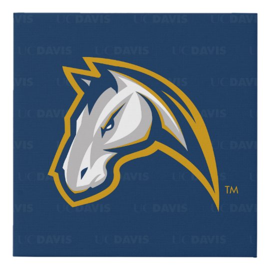 UC Davis Logo Watermark Faux Canvas Print