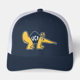 UC Irvine UCI Anteaters