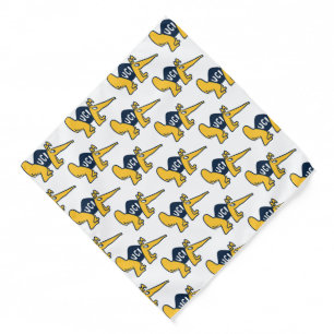 UC Irvine UCI Anteaters Bandana