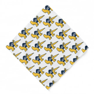 UC Irvine | UCI Anteaters Bandana
