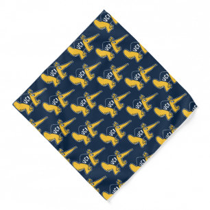 UC Irvine   UCI Anteaters Bandana