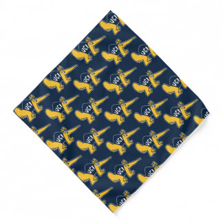 UC Irvine | UCI Anteaters Bandana