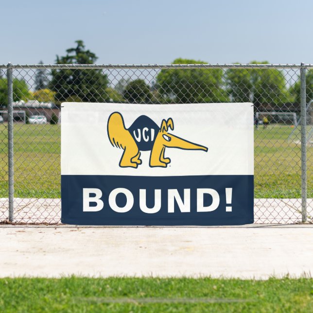 UC Irvine | UCI Anteaters Banner (Insitu)