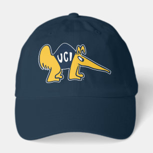 UC Irvine UCI Anteaters Hat