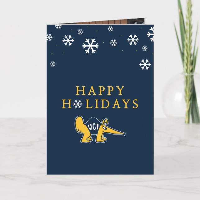 UC Irvine | UCI Anteaters Holiday Card (Front)