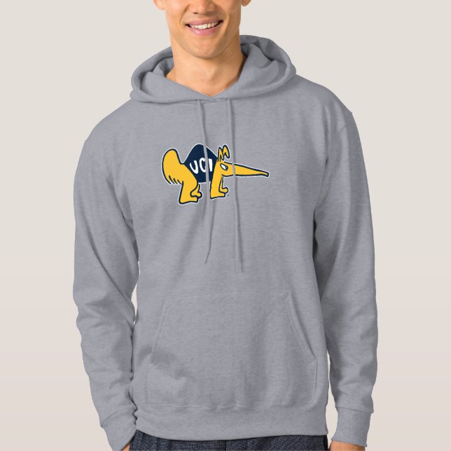 UC Irvine | UCI Anteaters Hoodie (Front)