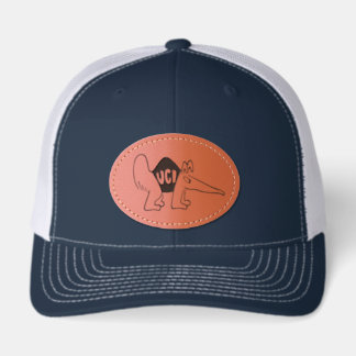 UC Irvine UCI Anteaters Leather Patch Hat
