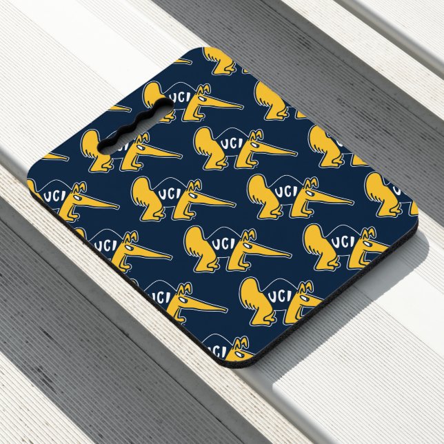 UC Irvine | UCI Anteaters Seat Cushion (In Situ)