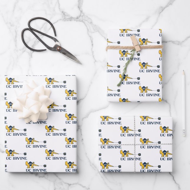 UC Irvine | UCI Anteaters Zot! Wrapping Paper Sheets (Front)