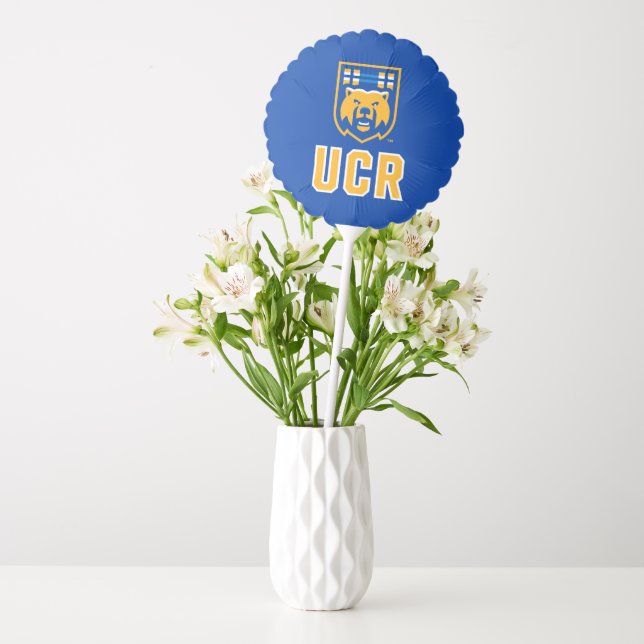 UC Riverside Balloon (Vase)