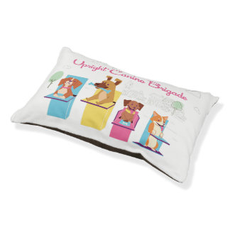 UCB Dog Pillow