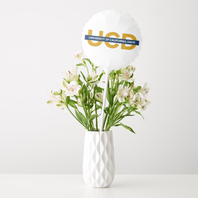 UCD Wordmark Balloon (Vase)